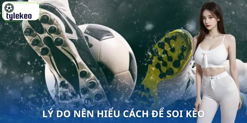 cach-soi-keo-nha-cai-ly-do
