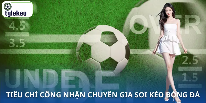 chuyen-gia-soi-keo-bong-da-tieu-chi