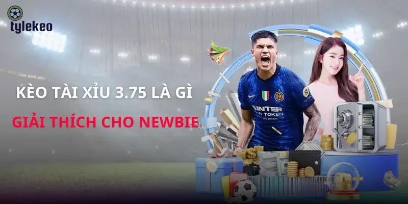 keo-tai-xiu-3-75-la-gi