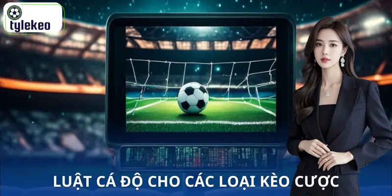 luat-ca-do-bong-da-cac-loai-keo-cuoc