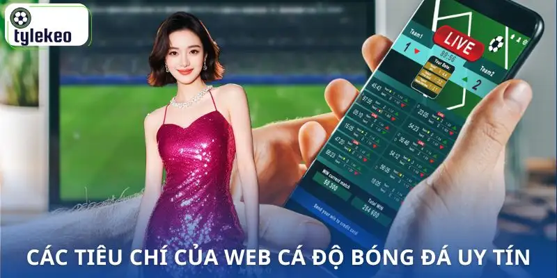 web-ca-do-bong-da-uy-tin-nen-chon